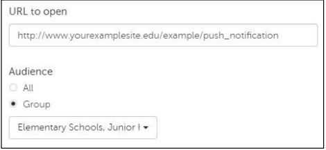 Screenshot illustrating the URL to open and Audience fields