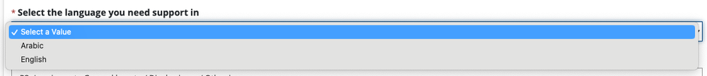 Language Selection in New Case Form.png